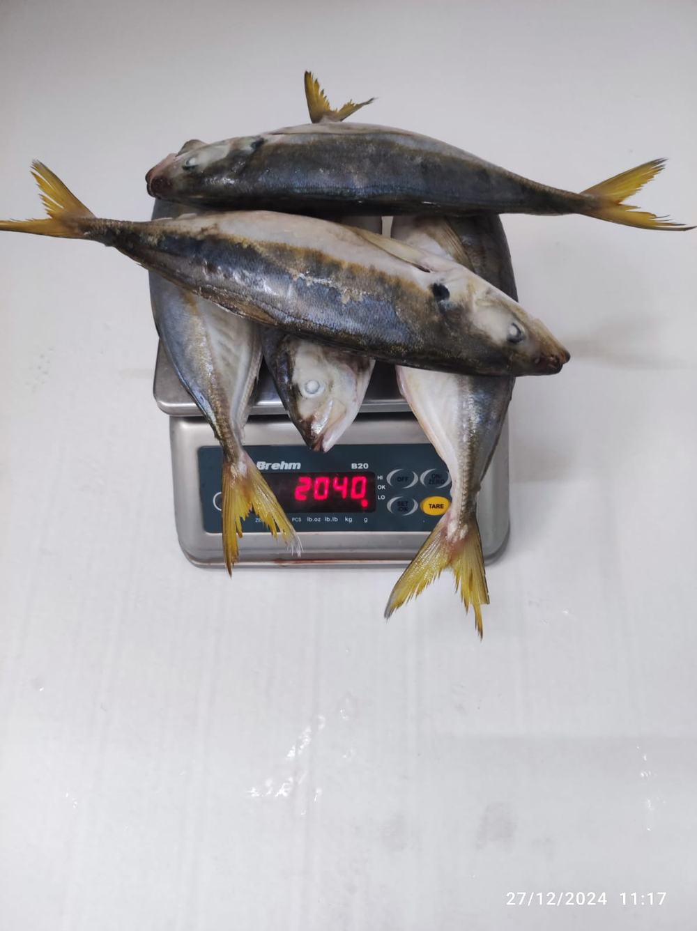 Chinchard — Entier en sachet, photo 2