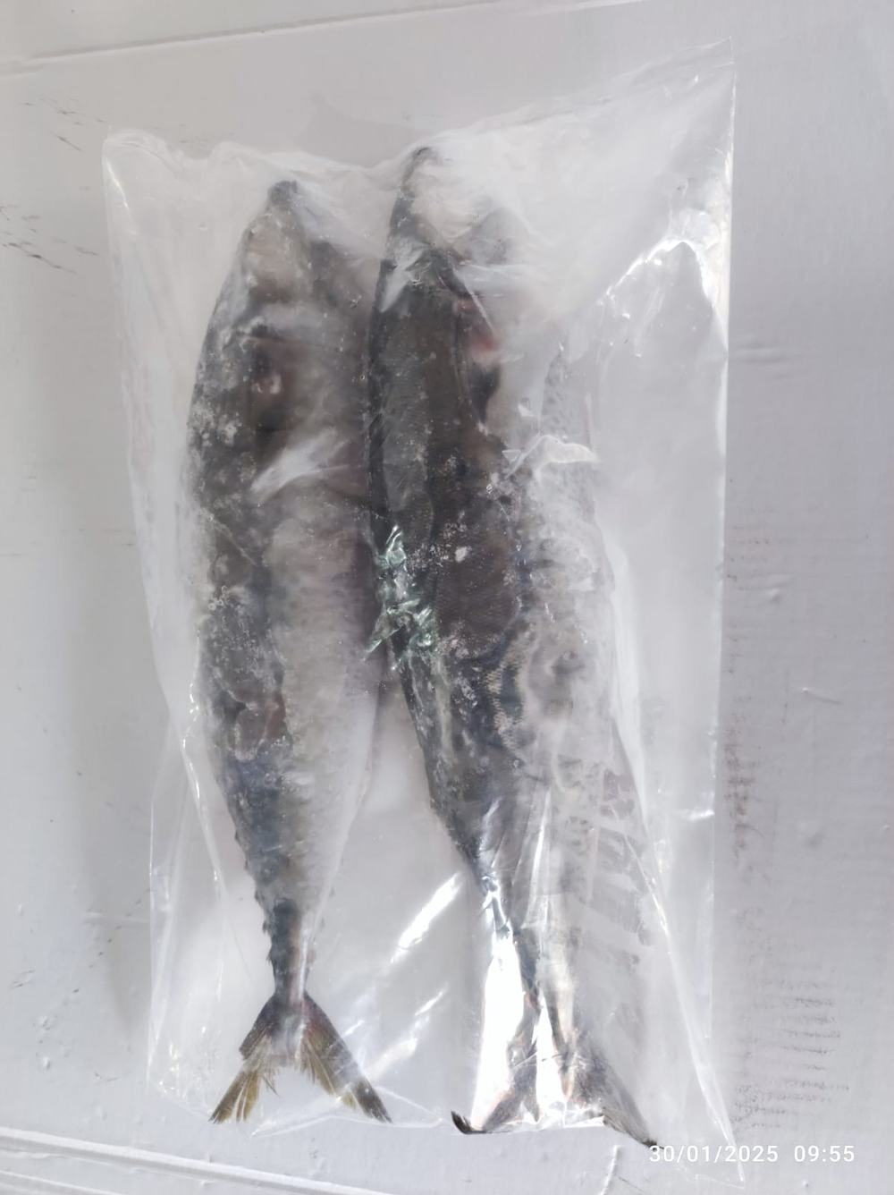 Chinchard — Entier en sachet, photo 4