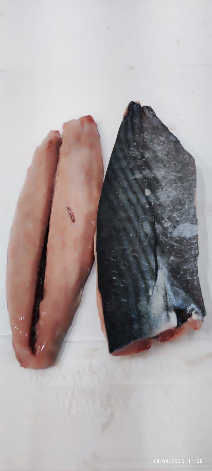 Bonite — Filet interfolié, photo 5