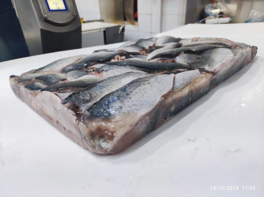 Maquereau — Filet bloc, photo 4