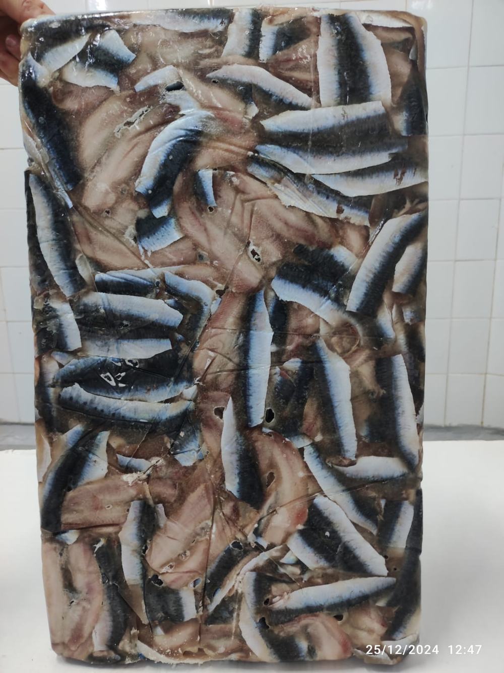 Sardine — Filet, photo 1