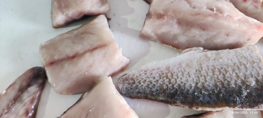 Mulet — Morceaux de filet, photo 1