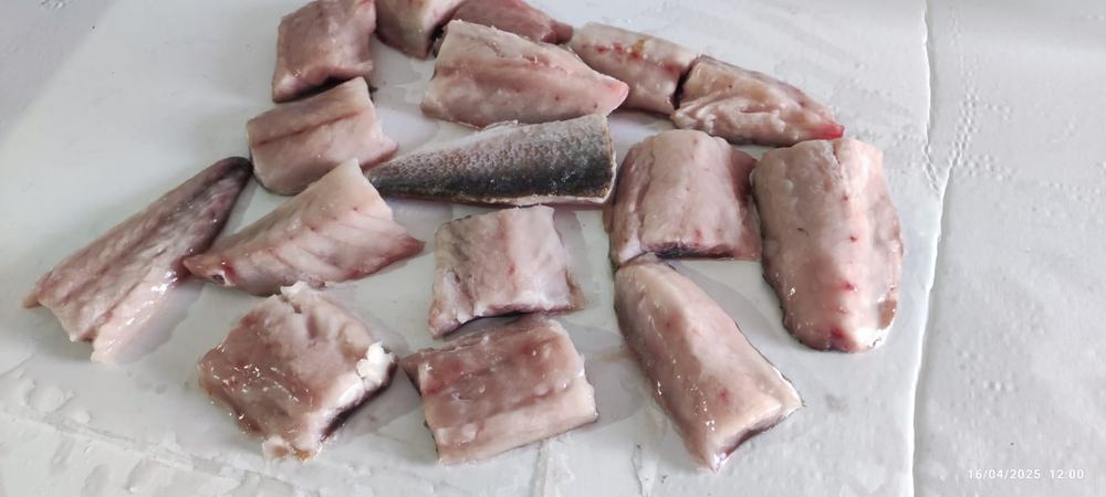Mulet — Morceaux de filet, photo 2