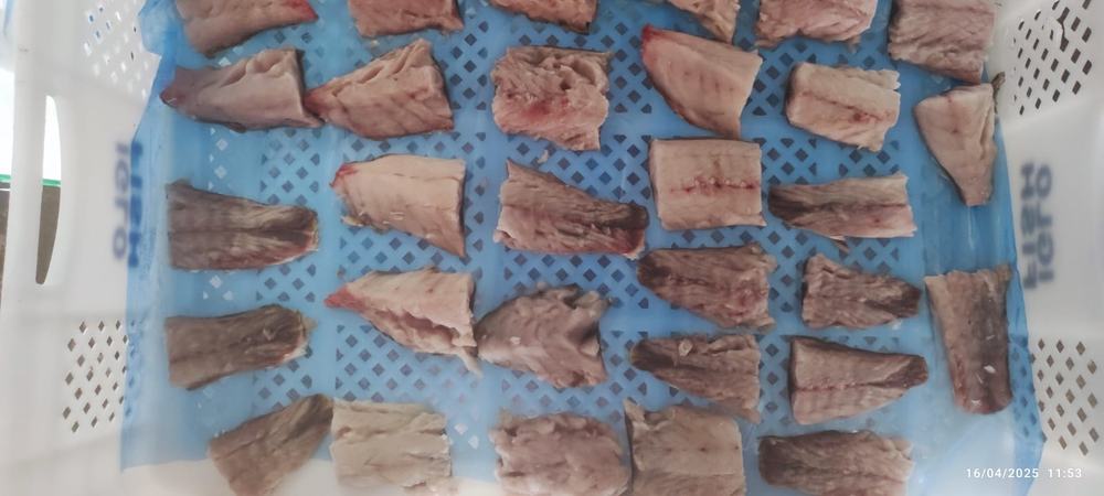Mulet — Morceaux de filet, photo 6