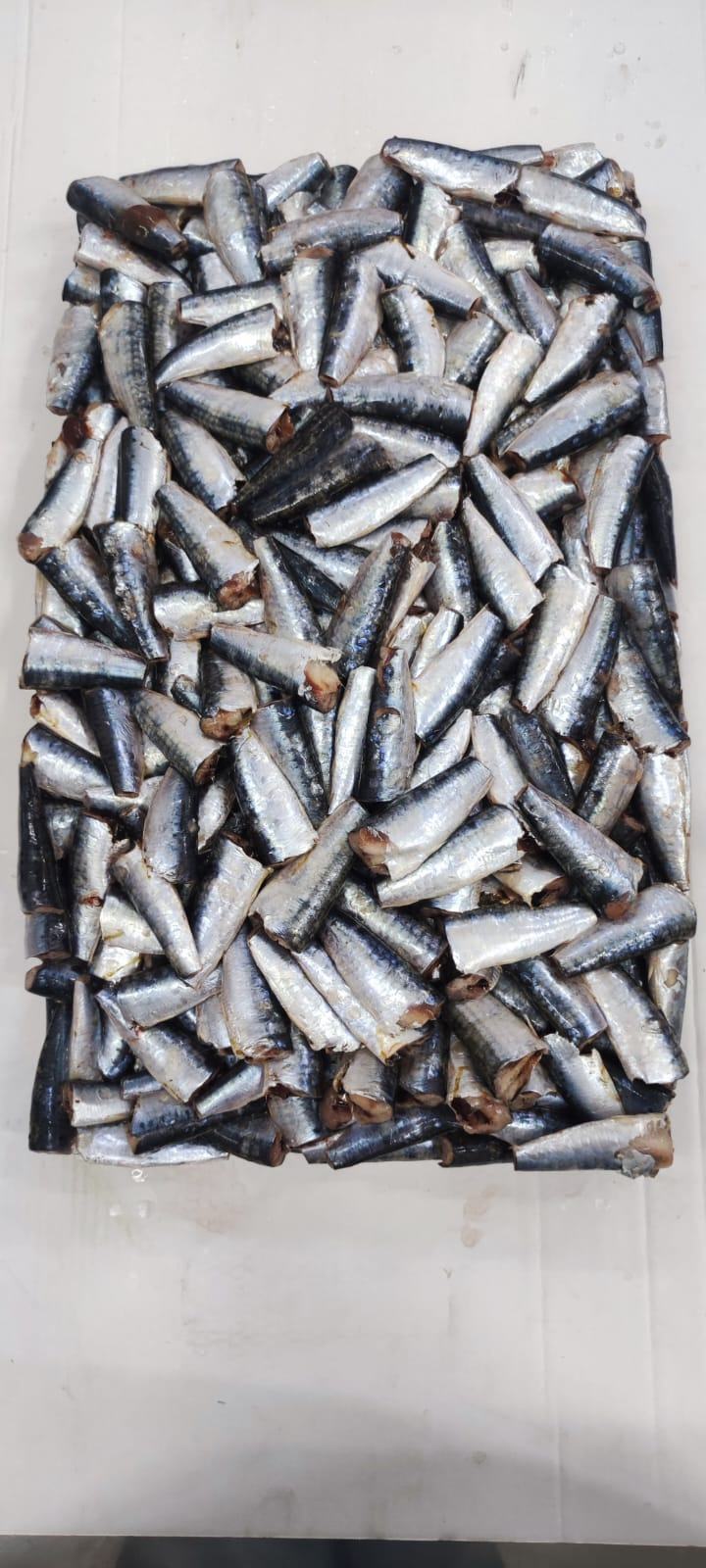 Sardine — 3ème choix, photo 4
