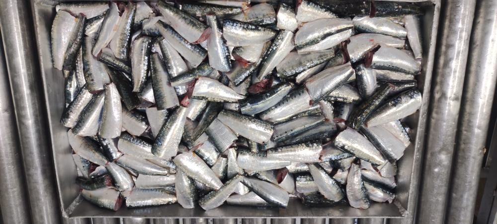 Sardine — 3ème choix, photo 5