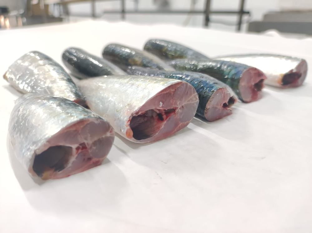 Sardine — 3ème choix, photo 7