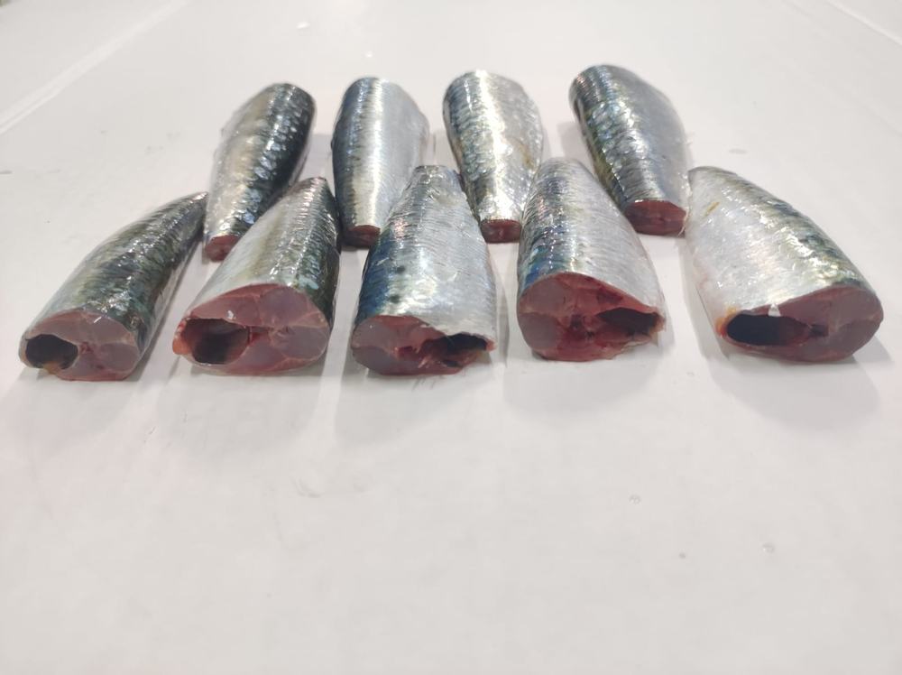 Sardine — 3ème choix, photo 8